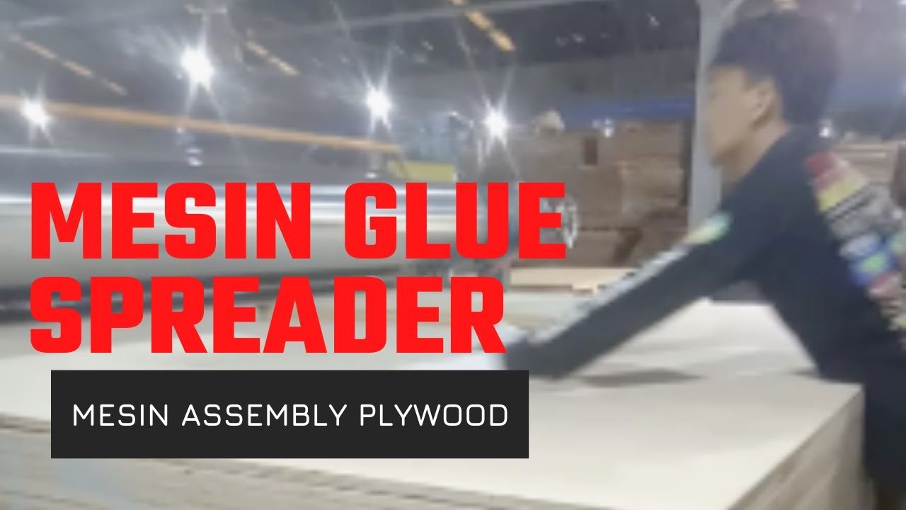 Proses Plywood di Mesin Glue Spreader