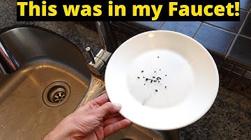 Clogged Faucet SOLVED!!!