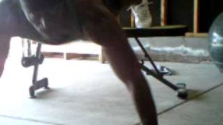 SUNP0117.AVI