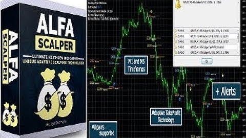 Alfa Scalper Review [Updated] 2019