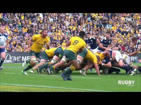 Scotland celebrate in Sydney