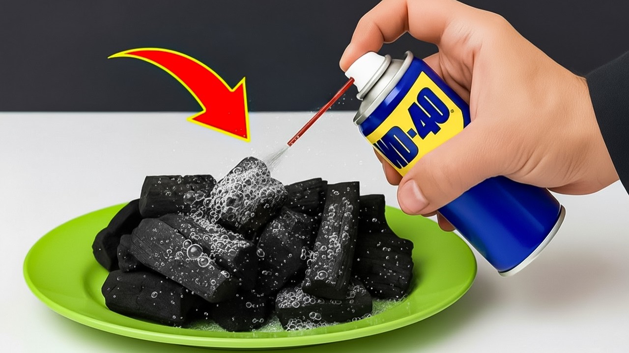 Миллиарды людей даже не знают этого секрета! Смешайте WD40 с древесным углем и зарабатывайте деньги�