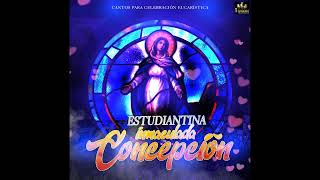 Video thumbnail of "Estudiantina Inmaculada Concepcion - Santo Es El Señor"