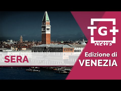 Video Al via L'82esima Mostra del Cinema di Venezia - TG Plus NEWS Venezia