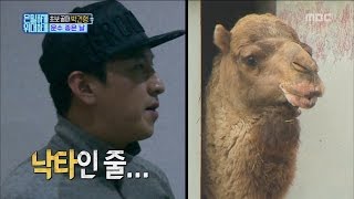 [Secretly Greatly] 은밀하게 위대하게 -  Park Gun-hyung Become camel! 20161211