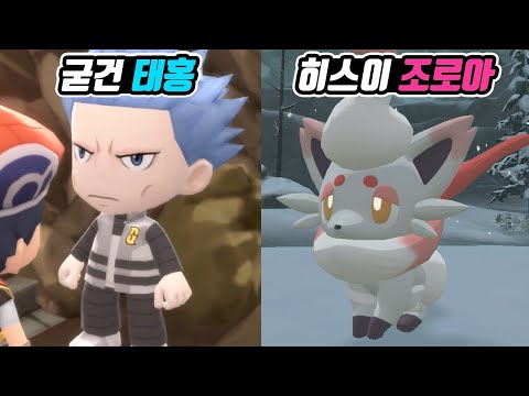 굳건 태홍 + 히스이 조로아, <strong>조로아크</strong>&amp;#39; 공개! (브릴리언트 다이아몬드/샤이닝 펄버전 + 레전드 아르세우스 버전 신정보)- [전자오랏맨]