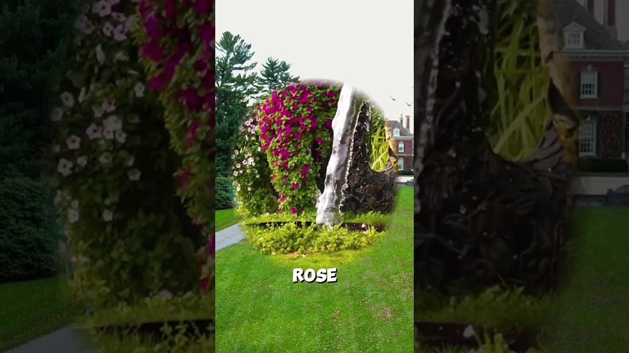 "Living the Dream: Oprah's 2025 Lifestyle Unveiled"