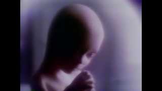 2010: The Year We Make Contact 1984 TV trailer