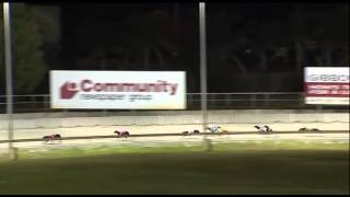 Cannington-11032015-Race-4