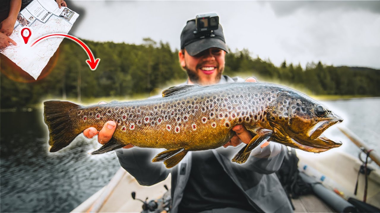 FISKE på OKÄNDA VATTEN - Fångar gigantisk öring
