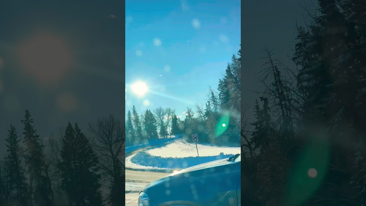 Winter Wonderland ❄️❄️❄️ 