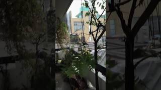 Rimjhim rimjhim barsat ki bunde 🌧️⛈️🌊🏝️☔💧