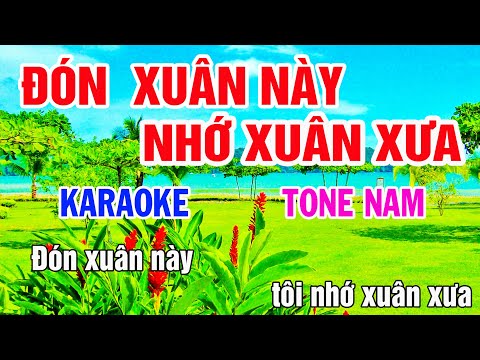 Đón Xuân Này Nhớ Xuân Xưa Karaoke Tone Nam Nhạc Sống gia huy beat