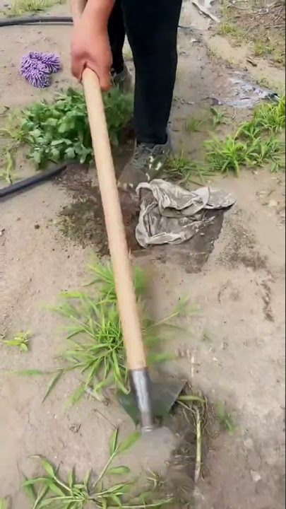 Powerful Farming Tool  ( Weeding Trenching Multifunctional Hoe) #satisfying #short