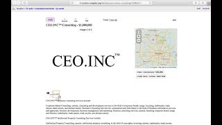 CEO.INC® $1,000,000 Per Hour Pro-Rated Consulting Houston, Texas Craigslist Ad June 7, 2021