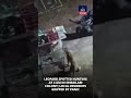 Leopard Spotted Hunting at 4 AM in Srisailam Colony; Local Residents Gripped by Panic