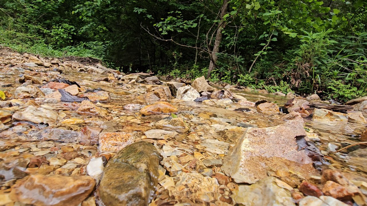 Exploring our 575 Acre Missouri Ozarks farm in the spring!