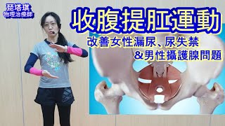 Exercise for improving female urinary leakage and oldermen prostate problem~PiTachi Physiotherapist