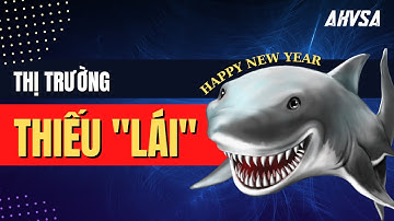 Thị trường thiếu lái | Phương pháp Wyckoff | XAU/USD | AETOS - AKVSA