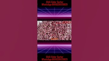 Chili Color Sorter #chili #chilimachine #spices  #sorting #chilipeppers #foodtech WA:8618326129021