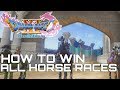 Dragon Quest XI HOW TO WIN ALL HORSE RACES AND ... - YouTube