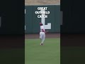 Great Outfield Catch by Oklahoma Sooners Baseball #shorts