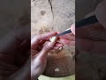 Garlic Chinese cutting skills . Chinese way. #shorts #chineseskills
