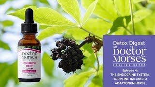 Detox Digest | The Endocrine System | Hormone Balance & Adaptogens Herbs