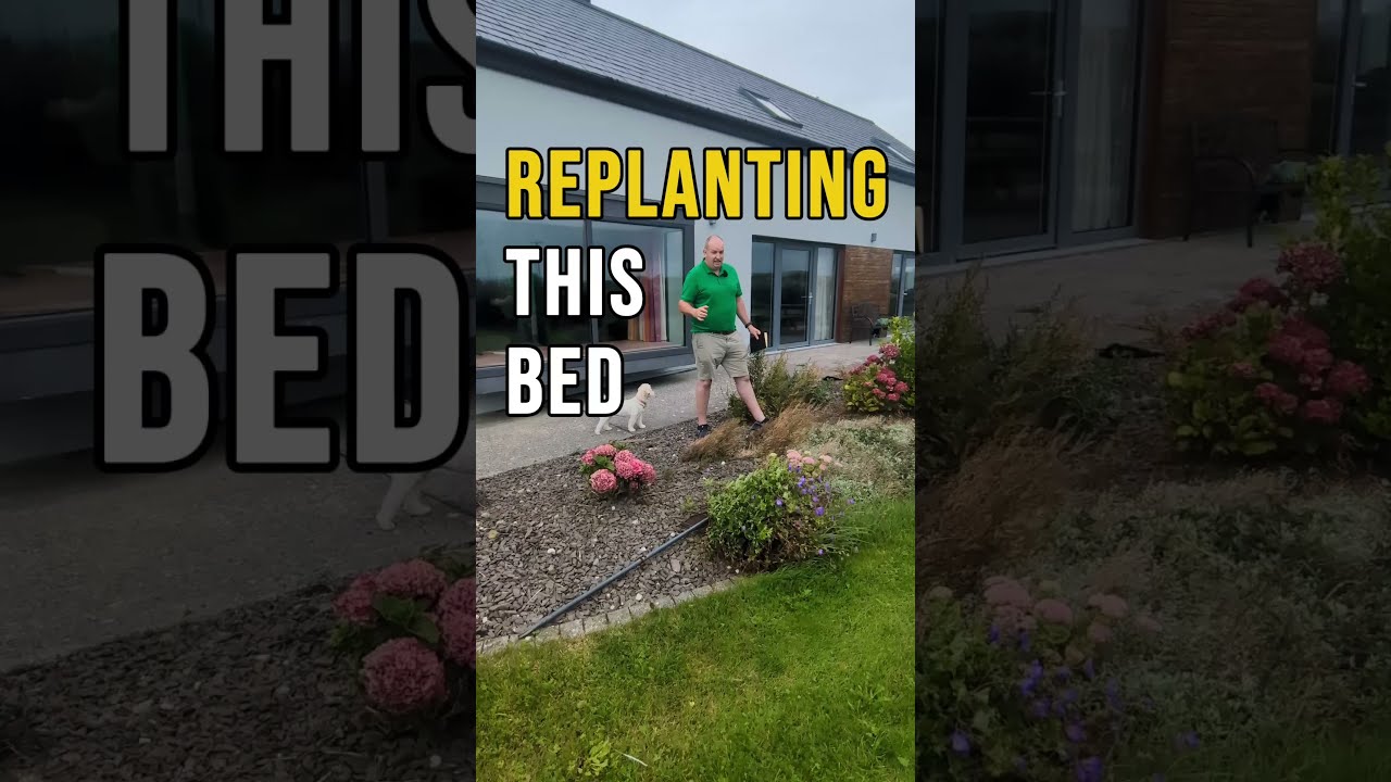 Replanting This Bed #gardening  #garden #home #outdoorliving #replanting  #planting  #diy  #plants
