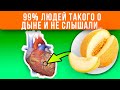 Съела 1 и неделю защищена. Открыт неожиданный исцеляющий эффект! Поэтому дыню скупают тоннами