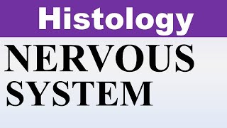 Inderbir Singh Histology Chp10 | Histology of NERVOUS SYSTEM | Dr Asif Lectures