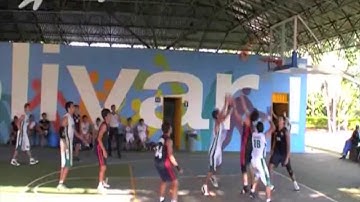 Free Fall and Projectile Motion Project