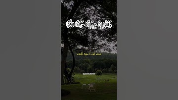 محمد أيوب | سورة الأنعام (الآيتان 29-30)