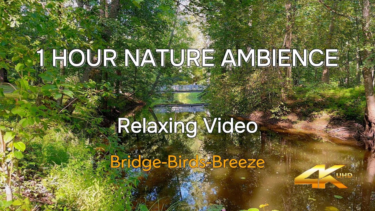 Bridge to Silence • 1 Hour of Peaceful River Ambience (4K)