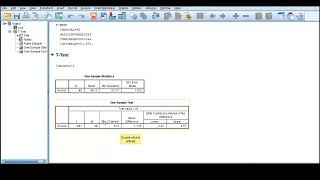 One Sample T test in SPSS