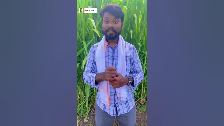 Disease Advisory Feature That Helps Farmers To Keep Their Crop Healthy #mapmycrop