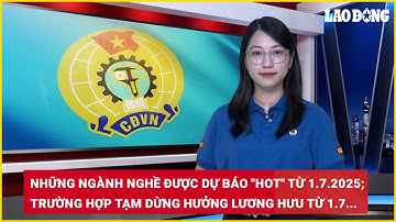 Bản tin công đoàn: 3 trường hợp tạm dừng hưởng lương hưu từ 1.7| Báo Lao Động