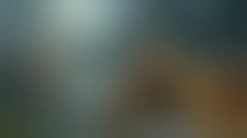 Hard Working Beavers - The Woodsman Whisky Commercial