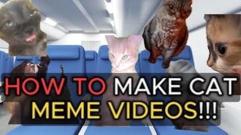 How To Make a Cat Meme Video😹😸