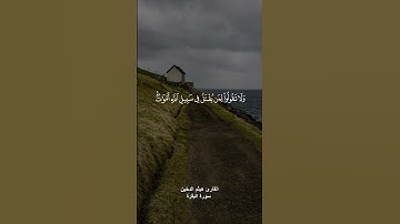 ﴿يا ايها الذين امنوا استعينوا بالصبر والصلاة ان الله مع الصابرين﴾ القارئ هيثم الدخين