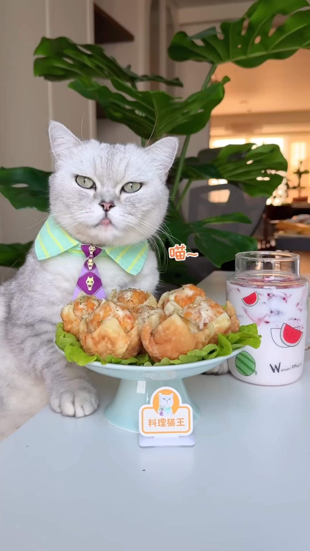 ?Cat Chef teaches you how to cook shrimp