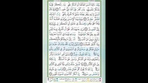سورة لقمان الآيات 16 تلاوة الشيخ أيمن سويد #قليل_دائم_خير