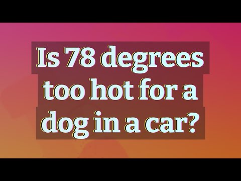 Is 78 degrees too hot for a dog in a car?