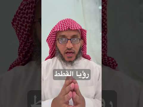 رؤيا القطط في المنام مفسر احلام اكسبلور الطائف ترند تفسير الأحلام تيك توك احلام دويتو
