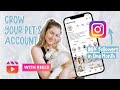 Use Reels to Blow Up On Instagram | I Grew My Dog’s Instagram By 80k in One Month with Reels