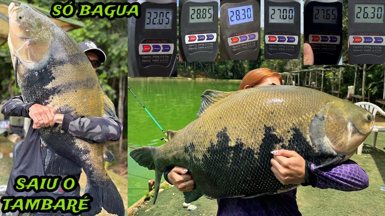 PEGAMOS O TAMBARÉ E VÁRIOS BAGUÁS!!!