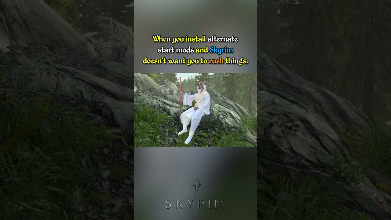 Skyrim - Relatable and Funny pt368