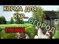 🏡Добавки для Яйценоскости!!//Цены на Корма//Бройлеры Плохо Растут!//Огород в Августе//Ножи под Заказ