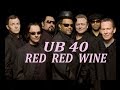 UB40  &#39;RED RED WINE&#39; (with lyrics)