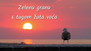 Video thumbnail of "Oliver Dragojević - Zelenu granu s tugom žuta voća (Official lyric video)"